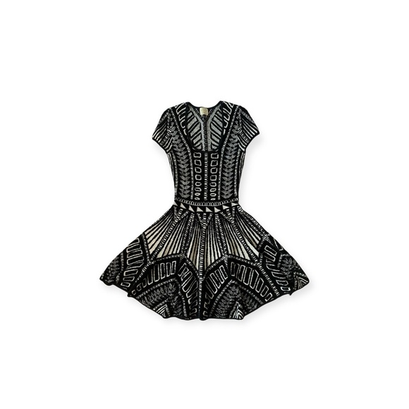 Stylish Black and White Patterned mini Dress - Picture 2 of 9